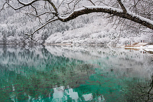 九寨沟雪景