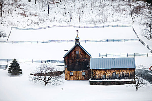 农场,冬天,佛蒙特州