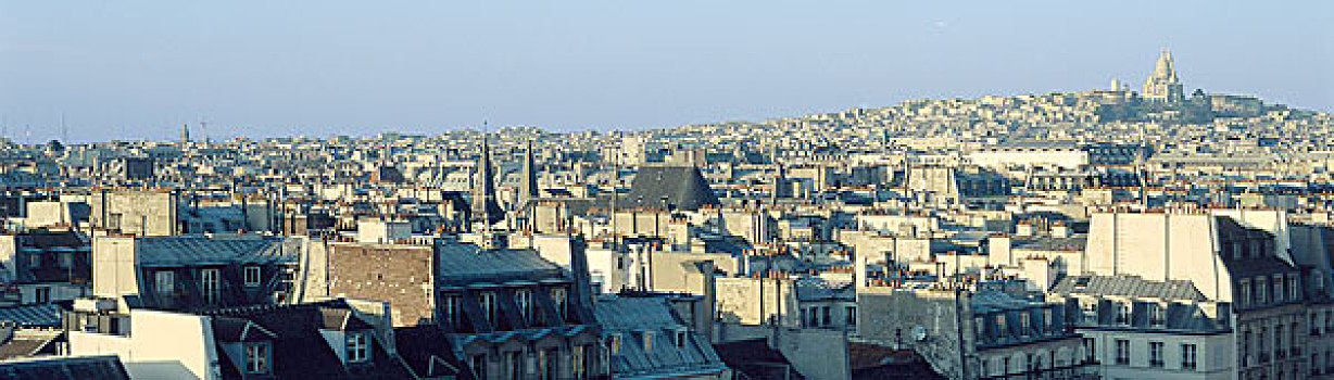 法国,巴黎,屋顶,全景