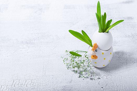 蛋,花,白色背景,复活节,象征
