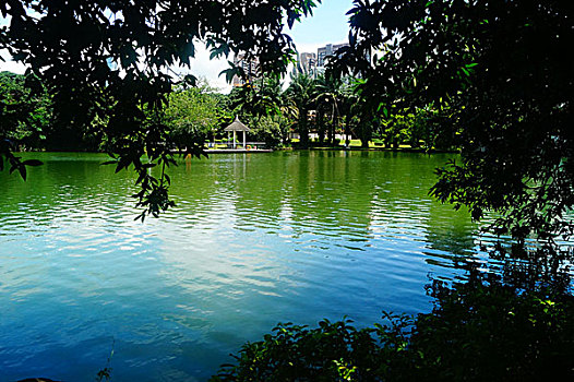 湖泊绿色树木风光