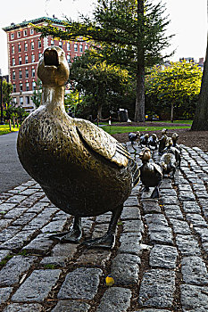 道路,小鸭子,雕塑,波士顿,马萨诸塞,美国