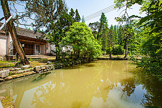 水池,古树,老房子