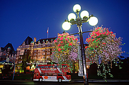 皇后酒店,花,篮子,黎明,维多利亚,温哥华岛,不列颠哥伦比亚省,加拿大