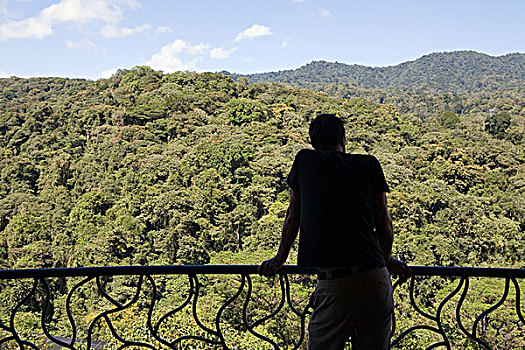 男人,露台,看风景,雨林,哥斯达黎加