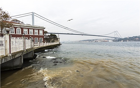 博斯普鲁斯海峡,脏,水,桥,土耳其,伊斯坦布尔,建筑,海洋,钢铁,线缆,旅行,市区,名胜,运输