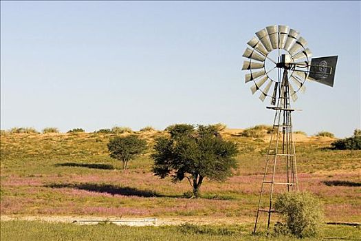 风车,泵,水,卡拉哈迪大羚羊国家公园,博茨瓦纳,南非