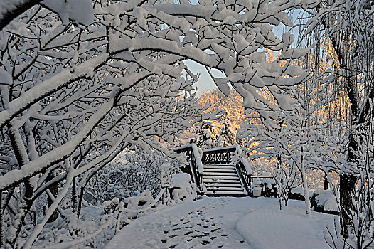 难忘2013年那场春雪