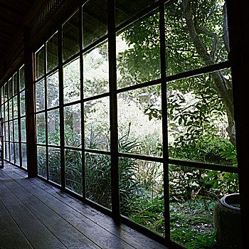 走廊,窗户,花园,芦荟,植物,日本