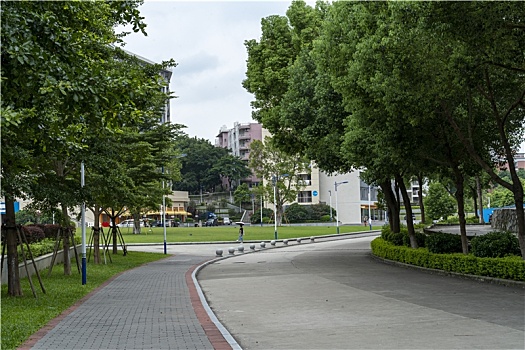 羊城广州夏天大学城校园暑假林荫大道