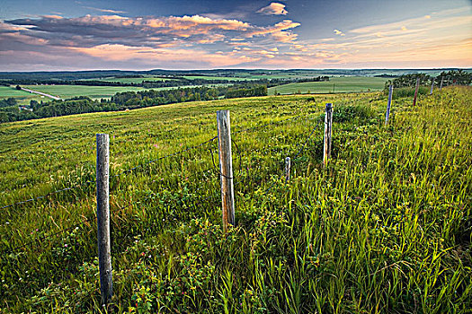 草场,栅栏,靠近,艾伯塔省,加拿大