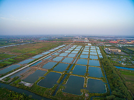 慈溪,杭州湾新区,杭州湾,航拍,水田,早晨,阳光,滩涂