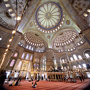 土耳其,伊斯坦布尔,藍色清真寺,地区,室内,蓝色清真寺,清真寺