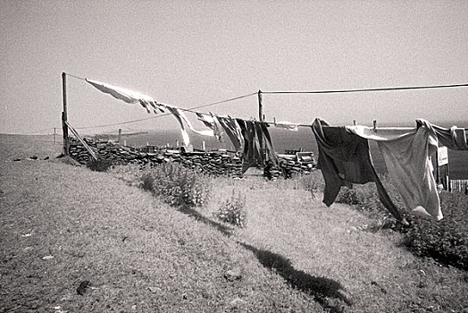 洗衣服,晾衣服,吹,风,靠近,海岸
