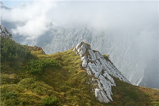 山景,草