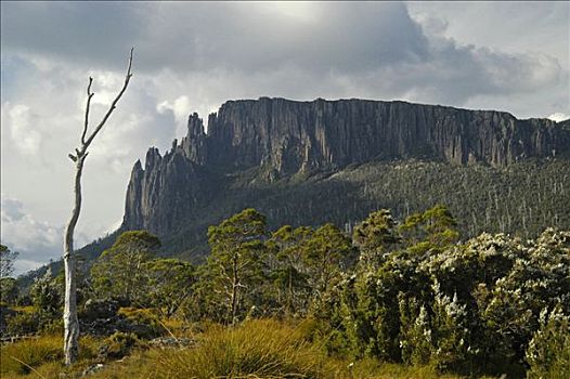 山,风景,奥弗兰,摇篮山,国家公园,塔斯马尼亚,澳大利亚