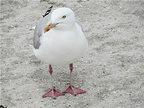 海岸