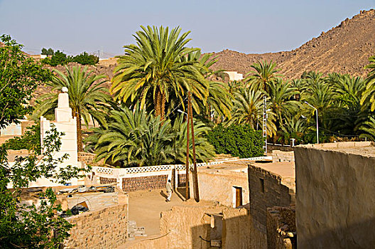 石头,房子,乡村,贾奈特,阿尔及利亚,非洲