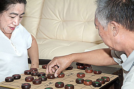 两位老年人下象棋