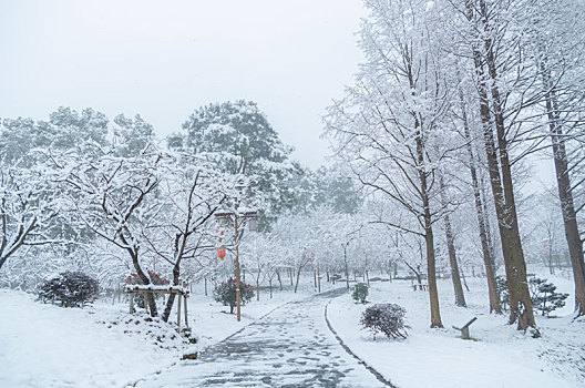 武汉冬日雪景风光