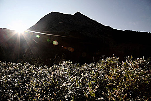 日出,上方,山,剪影