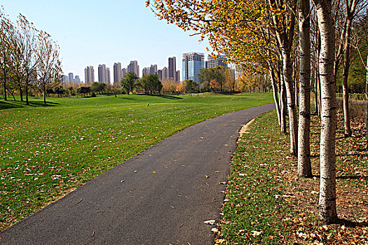 高尔夫球场,树木,秋天