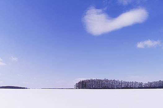 白色,地点,风障,蓝天