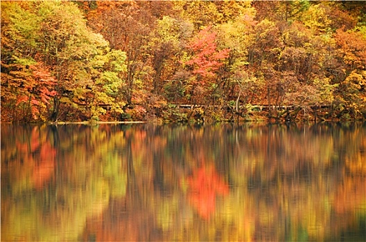 秋叶,反射,湖