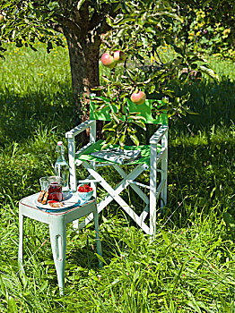 花园椅,苹果树