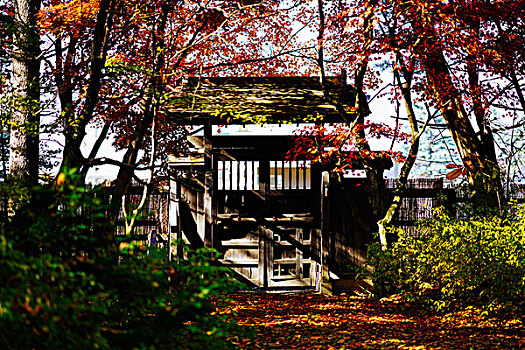 日式,建筑,秋天