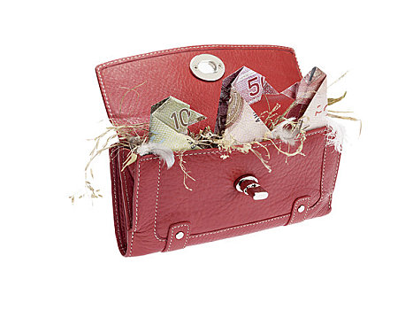 红色,皮夹,加拿大,钞票,折叠,鸟