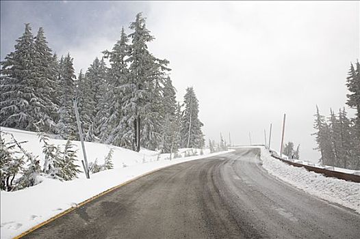 雪,道路