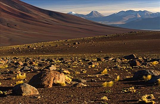 智利,干燥,火山地貌,看,火山