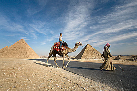 引导,骆驼,乘客,金字塔,开罗,埃及,非洲