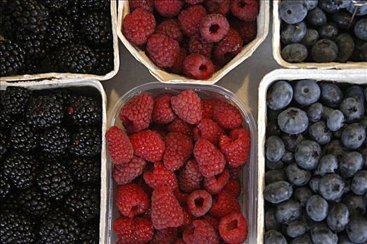 果篮,黑莓,树莓,蓝莓,食物,市场,慕尼黑,德国