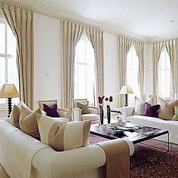 白色,沙发,窗户,齐地,帘,优雅,客厅