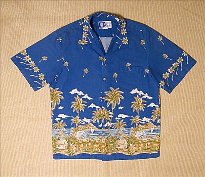 棚拍,夏威夷,衬衫,蓝色,传统,设计