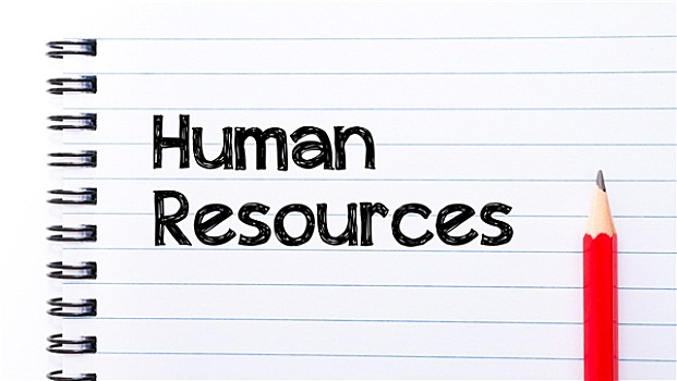 人力资源,文字,书写,笔记本,书页