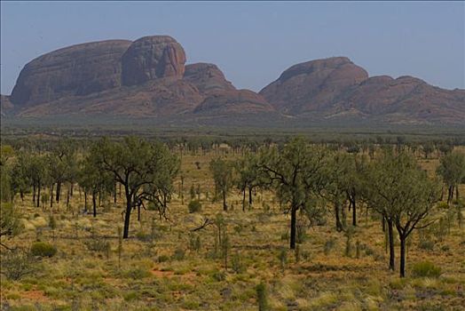 奥尔加,乌卢鲁巨石,卡塔曲塔,国家公园,艾尔斯巨石,北部地区,澳大利亚