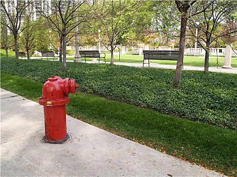 红色,消防栓,芝加哥,城市公园