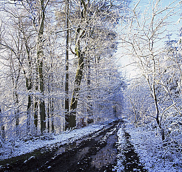 威尔士,蒙茅斯郡,雪,树林,靠近,困,小村庄,一个,重要,城镇