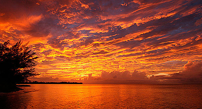 日落,上方,海洋,拿骚,新普罗维登斯,巴哈马