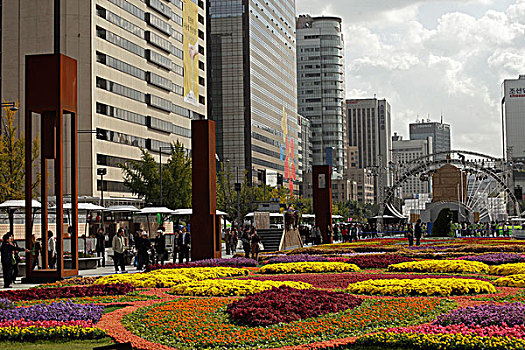 花,地毯,街道,钟路区,市区,首尔,韩国,亚洲
