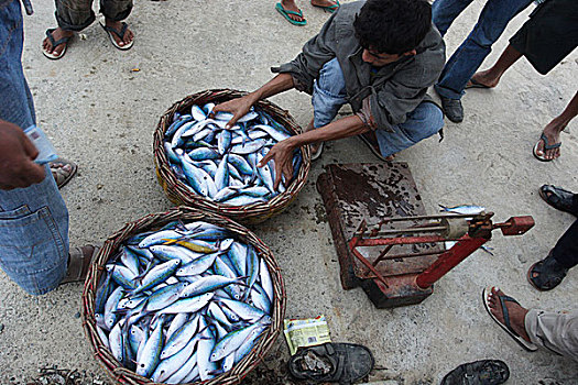 鱼,交易,渔港,印度尼西亚,六月,2007年