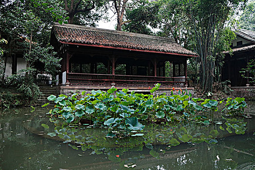 成都杜甫草堂,水榭,荷塘