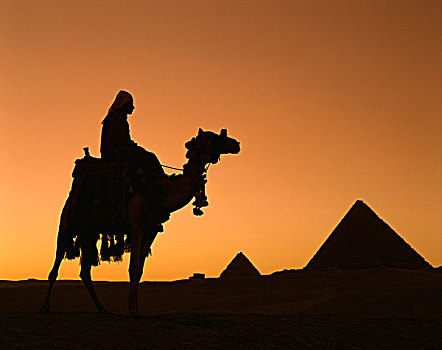 埃及,开罗,吉萨金字塔,卡夫拉,金字塔,骆驼,日落