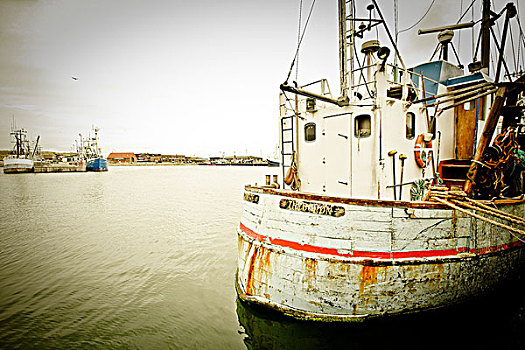 捕鱼,拖船,丹麦