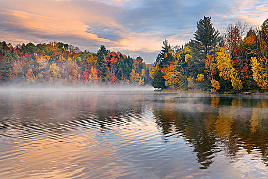 湖,雾,日出,秋叶,山,新英格兰