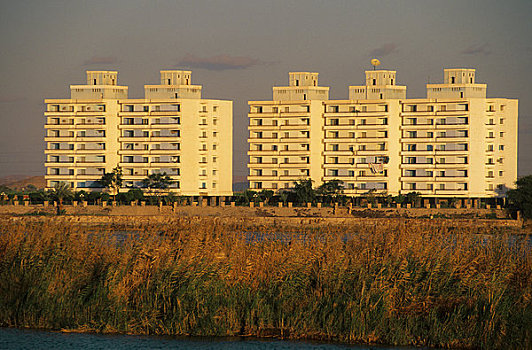 埃及,尼罗河,伊迪芙,现代,公寓楼