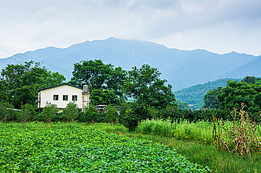 田园风光